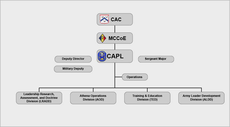 Organization Structure Image